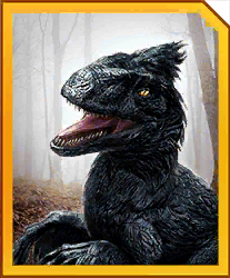 dakotaraptor