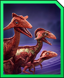 Compsocau_Card.jpg