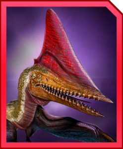 Darwezopt_Card-248x300.jpg