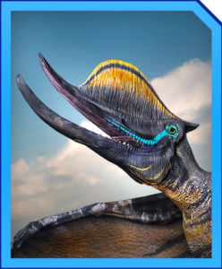 Dsungarip_Card-248x300.jpg