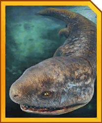 koolasuchus.png