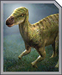 1763178995814258.jpg iguanodon.jpg