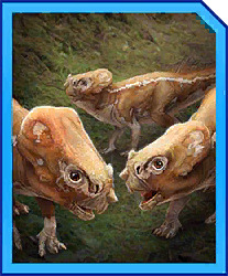 1772862941595309.jpg aquilops.jpg